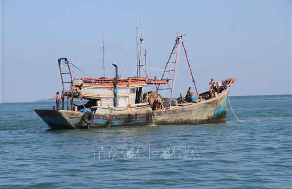 Cà Mau quyết liệt chống khai thác IUU, đã số hóa quản lý toàn bộ tàu cá