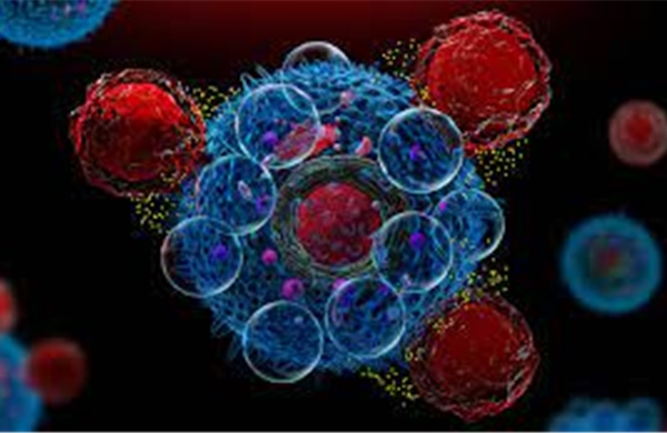 Phương pháp mới giúp tiêu diệt ung thư hiệu quả hơn