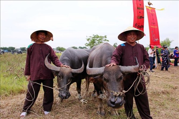 Độc đáo Lễ hội Mục đồng làng Phong Lệ