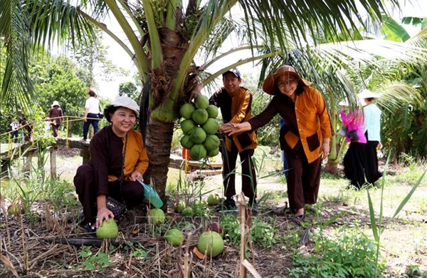 Ước vọng năm mới trên quê hương Xứ Dừa