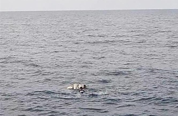 Tìm thấy thi thể ngư dân mất tích sau nhiều ngày tìm kiếm