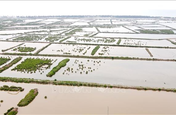 Đẩy mạnh giải phóng mặt bằng để phát triển Khu kinh tế ven biển tỉnh Thái Bình