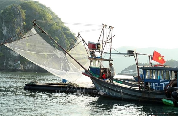 Hải Phòng khẩn trương ứng phó bão số 3