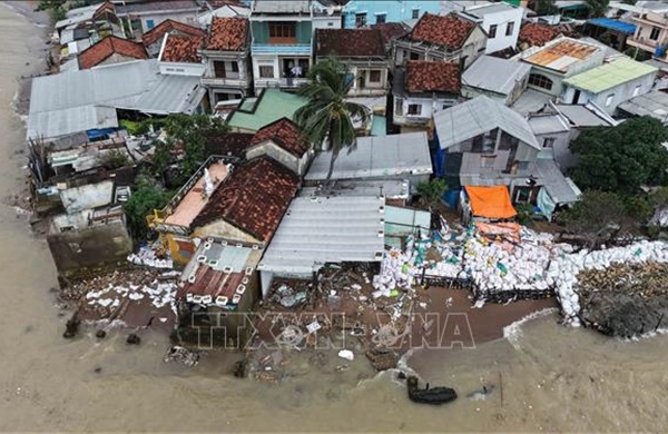 Khẩn trương triển khai kè chắn sóng bảo vệ khu dân cư trước mùa mưa bão