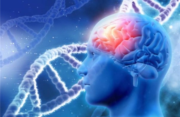 Công nghệ siêu âm mới giúp theo dõi quá trình đưa thuốc vào não