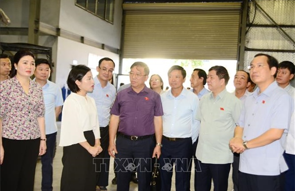 Nỗ lực thực hiện các biện pháp giảm thiểu ô nhiễm môi trường