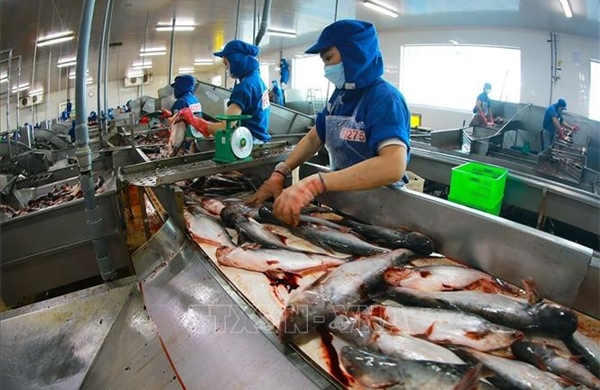 Kích hoạt các động lực phát triển để kinh tế tăng trưởng vượt 8%