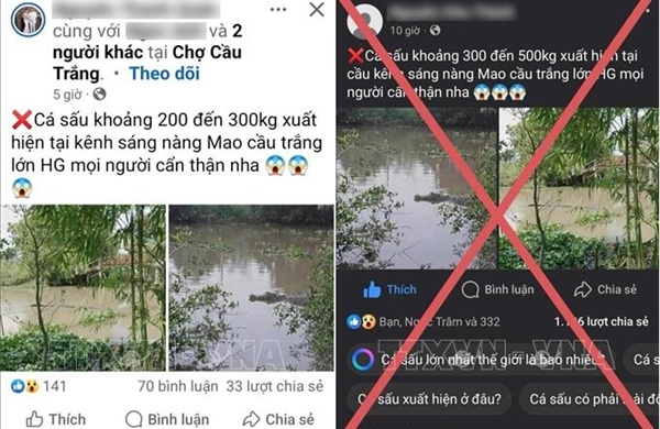 Thông tin cá sấu &#39;khổng lồ&#39; nổi trên kênh xáng Nàng Mau là bịa đặt