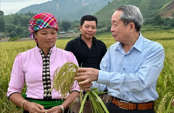 Nông nghiệp Việt Nam - Từ 'trụ đỡ' chiến lược đến kỷ nguyên mới