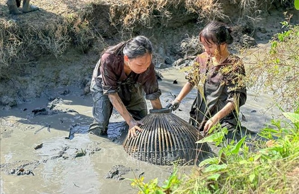 Về Cần Thơ ăn Tết giữa thiên nhiên
