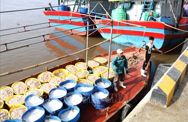 Ninh Bình vươn ra biển lớn từ lợi thế tự nhiên - Bài 1: Đánh thức tiềm năng kinh tế biển