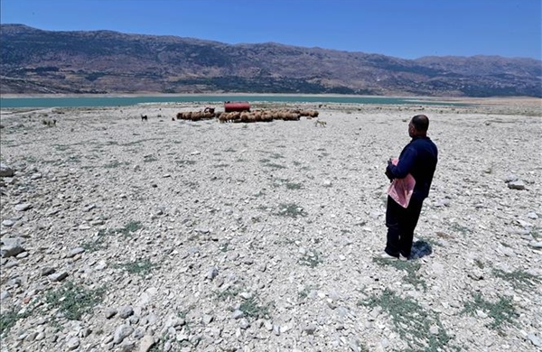 Hạn hán có thể thúc đẩy vi khuẩn kháng kháng sinh