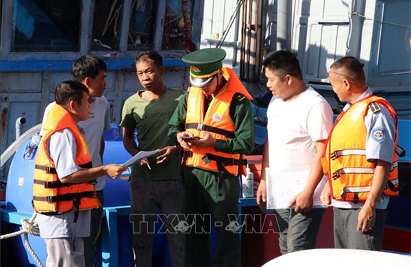 'Số hóa' nghề cá giúp nâng cao hiệu quả kinh tế biển