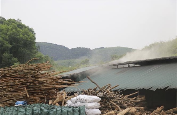 Lò đốt than không phép 'bủa vây' khu dân cư