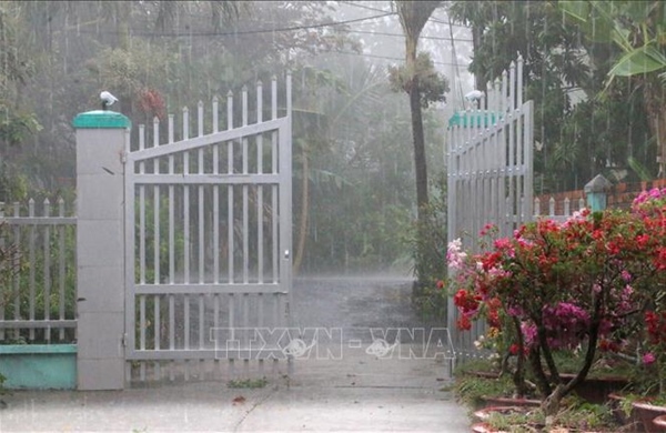 Cơn 'mưa vàng' giải nhiệt bầu không khí khô nóng ở An Giang