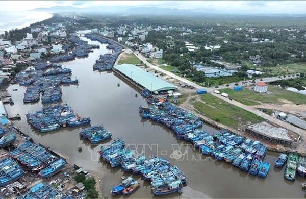 Gia Lai định hướng giảm dần khai thác, phát triển nuôi trồng công nghệ cao