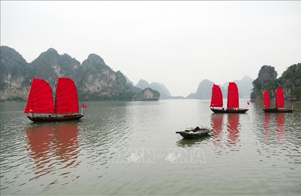 Siết chặt quản lý, tăng cường y tế và cứu hộ trên vịnh di sản