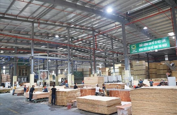 Dữ liệu trở thành 'hộ chiếu' cho nông, lâm sản Việt vào EU