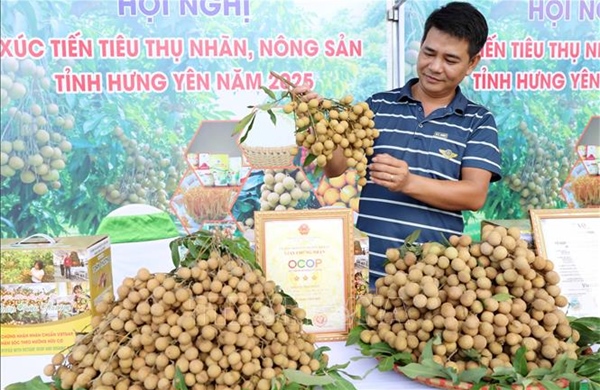 Hưng Yên siết quản lý nguồn thu từ thương mại điện tử và nền tảng số