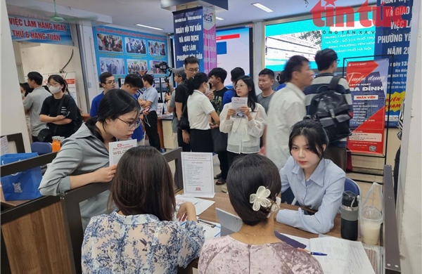 Cách xác định số tiền, số ngày trốn đóng BHXH, bảo hiểm thất nghiệp theo quy định mới từ tháng 11/2025