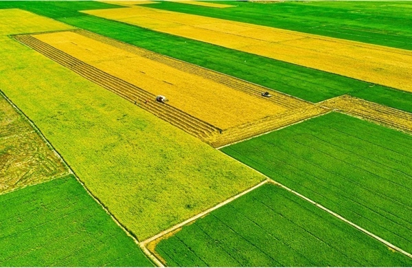 Quyết tâm thực hiện tốt công tác dân tộc và tôn giáo trong giai đoạn mới