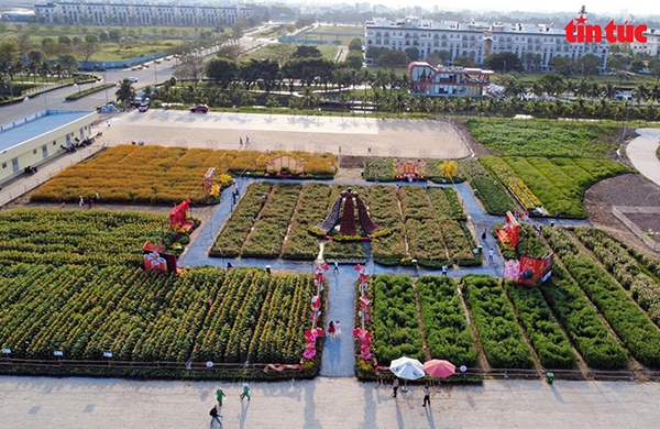 Người dân, du khách nô nức check-in lễ hội hoa Tết '4 miền' tại TP Hồ Chí Minh