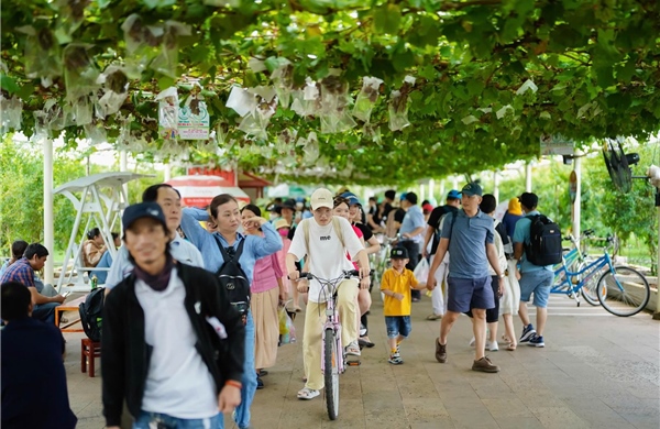 TP Hồ Chí Minh phát triển du lịch xanh gắn với nông nghiệp công nghệ cao