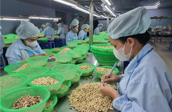 Thương hiệu Việt trước cơ hội và thách thức trong kỷ nguyên số