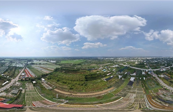 Làng hoa Sa Đéc bừng sắc Xuân, nhà vườn hối hả vào vụ Tết