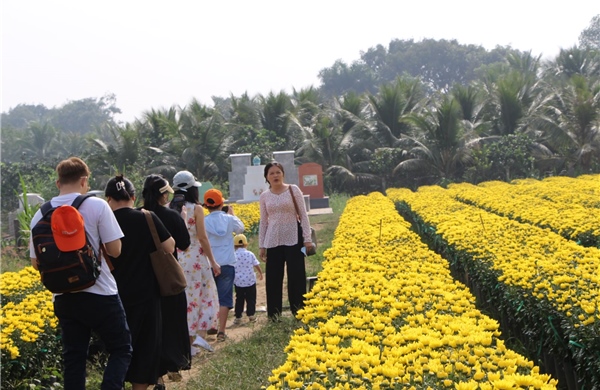 Hoa, cây kiểng Tết tại TP Hồ Chí Minh tăng giá nhẹ