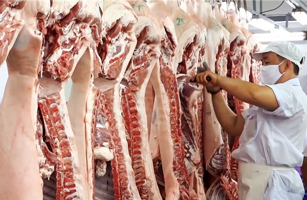 Doanh nghiệp TP Hồ Chí Minh chủ động nguồn hàng, bình ổn thị trường Tết Bính Ngọ 2026