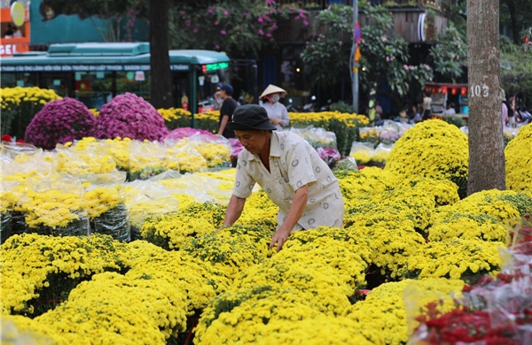 TP Hồ Chí Minh: Các chợ hoa tấp nập người mua sáng 29 Tết