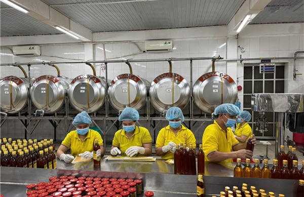 Doanh nghiệp TP Hồ Chí Minh kỳ vọng đại biểu đồng hành phát triển kinh tế