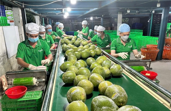 Đưa nông sản Việt vươn xa - Bài 2: Chuyển đổi số và chuyển đổi xanh tạo sức bật mới