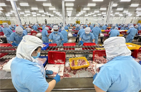 Đưa nông sản Việt vươn xa - Bài cuối: Khơi thông dòng vốn cho nông nghiệp bức phá