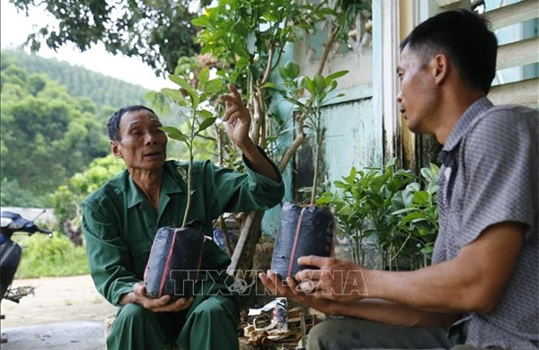 Lão nông đi đầu trong phát triển kinh tế trang trại ở Tuyên Quang