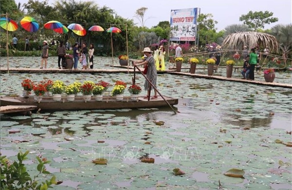 Đất sen hồng đa dạng hóa sản phẩm du lịch, thu hút khách