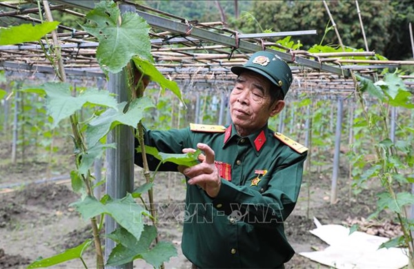 Thương binh, bệnh binh vùng cao Điện Biên khắc ghi lời Bác dạy