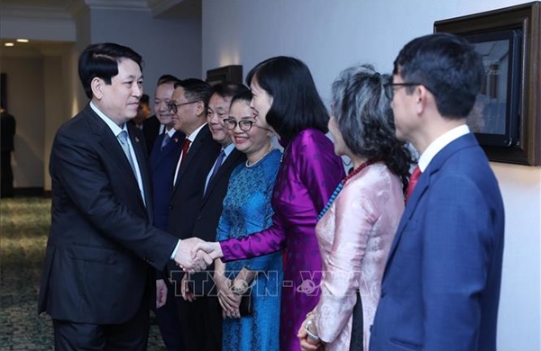Chủ tịch nước làm việc với các Đại sứ Việt Nam tại châu Phi 