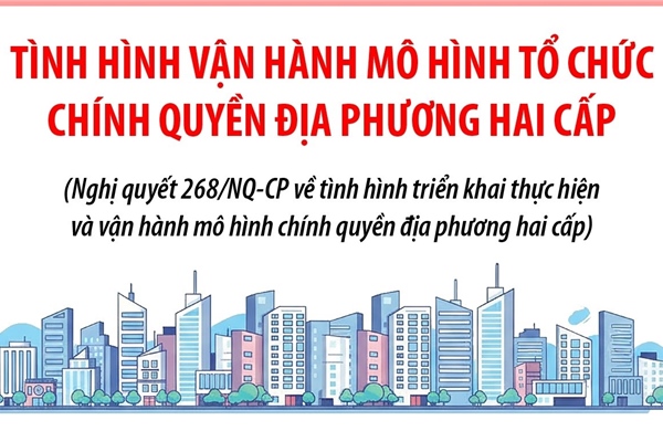 Tình hình vận hành mô hình tổ chức chính quyền địa phương hai cấp