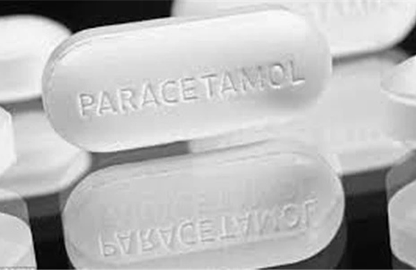 WHO và EU nêu quan điểm về sử dụng Paracetamol trong thai kỳ