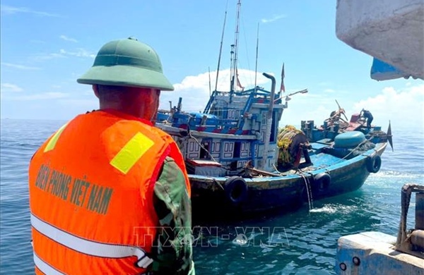 Phát hiện, xử lý các tàu cá vi phạm quy định khai thác thủy sản