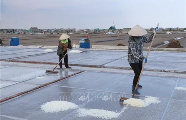 Nâng cao giá trị hạt muối phơi cát