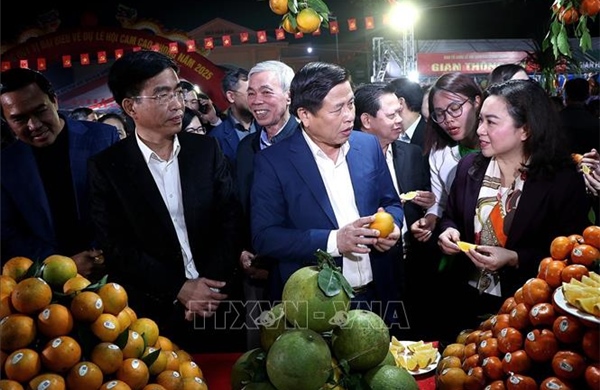 Khai mạc Lễ hội cam Cao Phong và hội chợ triển lãm sản phẩm đặc trưng