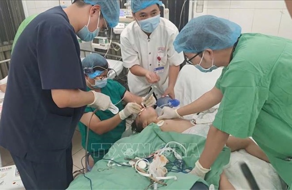 Kịp thời cứu sống bệnh nhi mắc hạt hướng dương đường thở nguy kịch