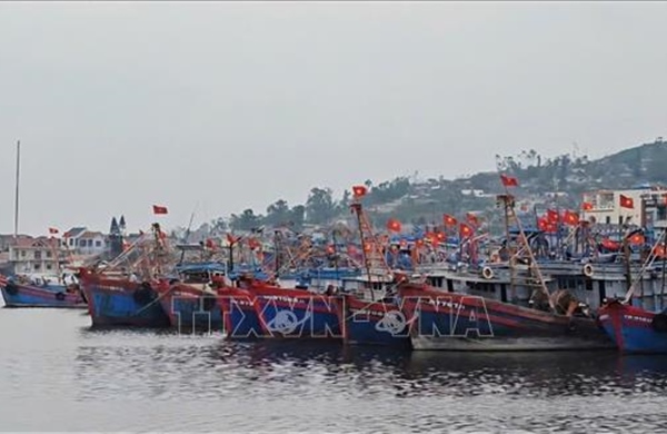 Khắc phục 'thẻ vàng' IUU: Thanh Hóa đầu tư mạnh cho hiện đại hóa cảng cá