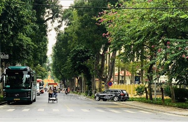 Hà Nội tháng Ba: Nhịp sống chậm giữa những sắc hoa giao mùa