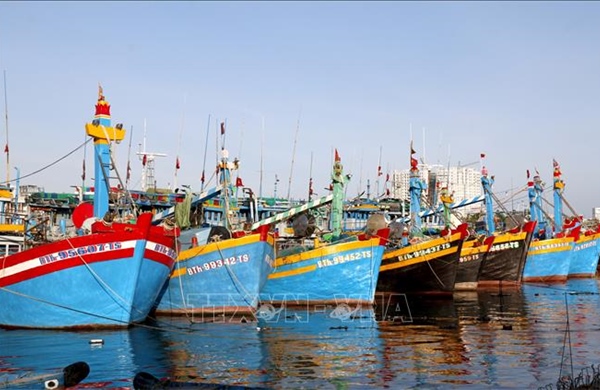 Lâm Đồng triển khai cao điểm chống khai thác IUU 