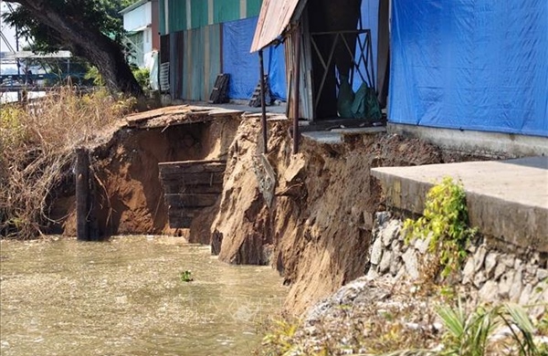 Khẩn trương khắc phục sạt lở dài 50 m bên bờ sông Hậu