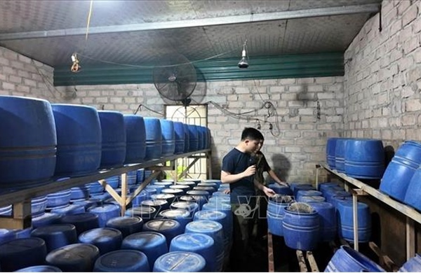 Chủ tịch xã, phường, đặc khu phải chịu trách nhiệm về công tác bảo đảm an toàn thực phẩm